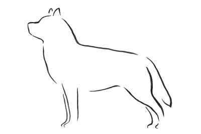 Siberian Huskie by Lesley Bishop metal wall art