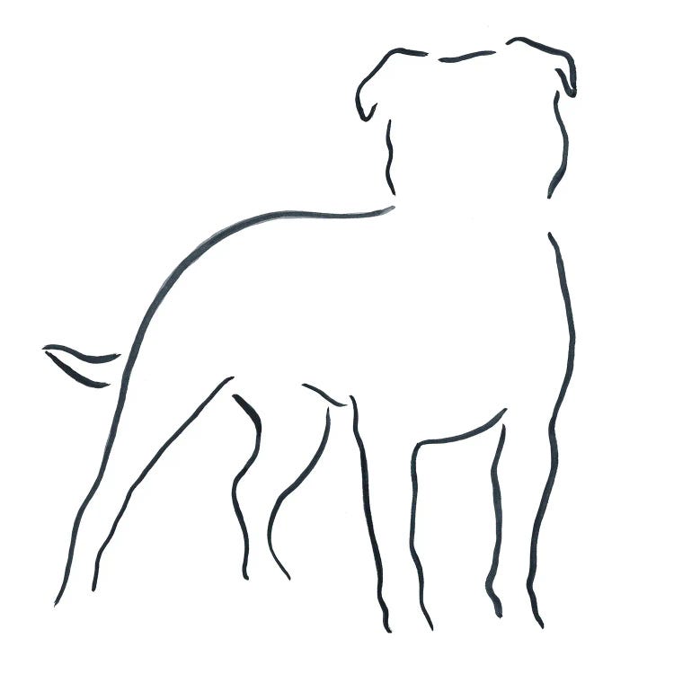 Staffordshire Bull Terrier