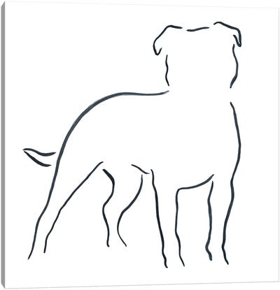 Staffordshire Bull Terrier Canvas Art Print - Line Art