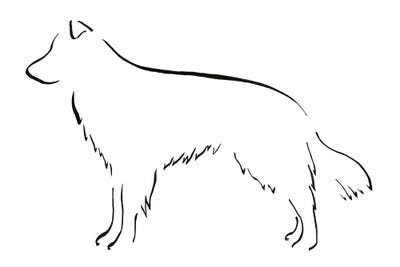 Border Collie Side by Lesley Bishop acrylic art print