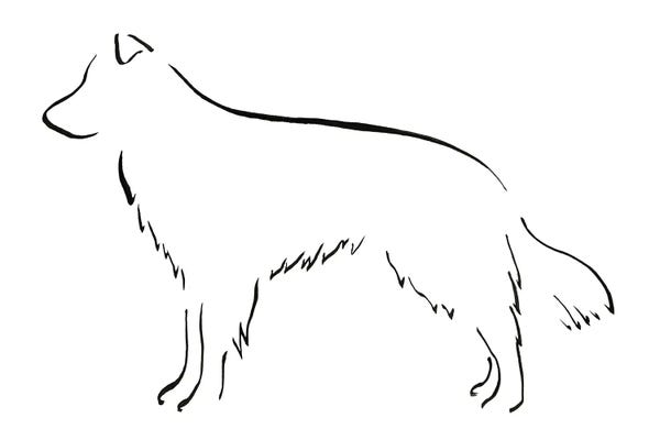 Lesley Bishop: Border Collie Side by Lesley Bishop