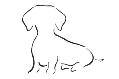 Dachshund Sitting by Lesley Bishop canvas print