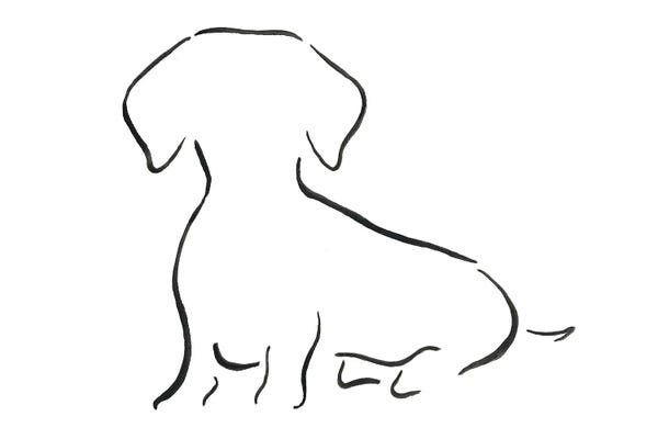 Lesley Bishop: Dachshund Sitting by Lesley Bishop