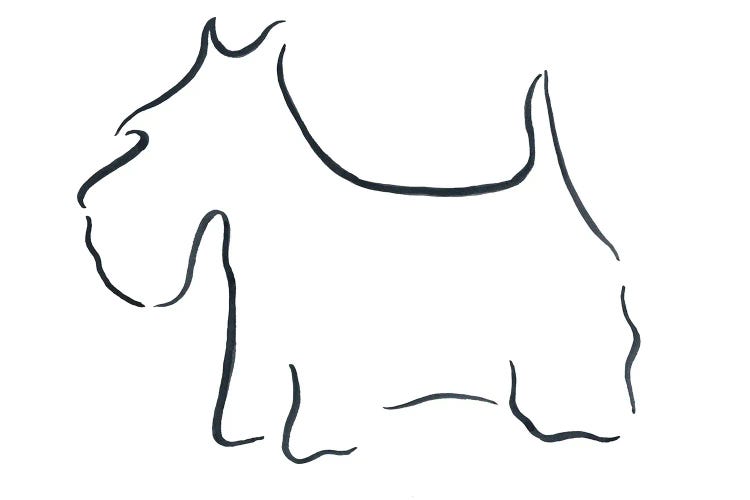 Scottish Terrier by Lesley Bishop wall art