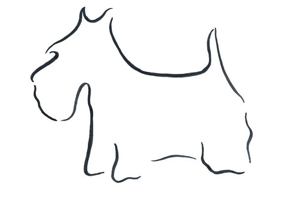 Lesley Bishop: Scottish Terrier by Lesley Bishop