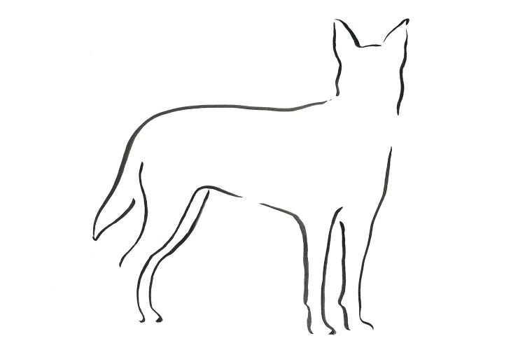 Kelpie