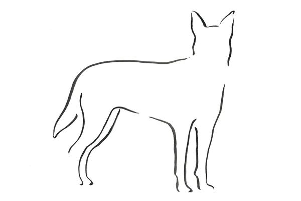 Lesley Bishop: Kelpie by Lesley Bishop