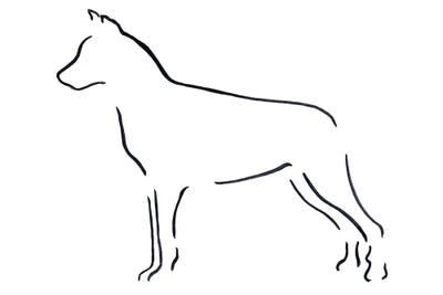 Beaucerons