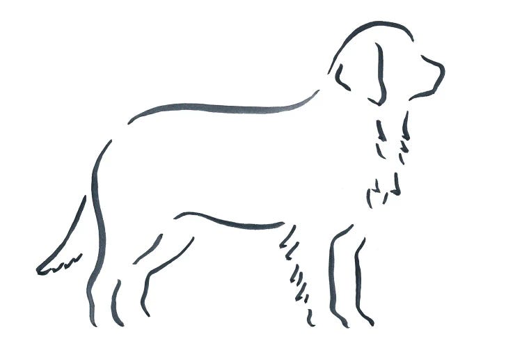 Bernese Mountain Dog by Lesley Bishop wall art