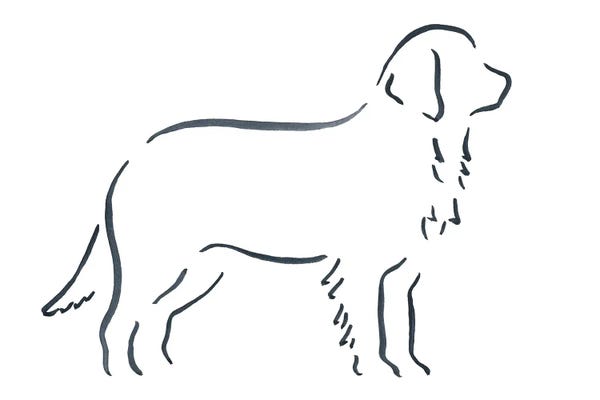 Lesley Bishop: Bernese Mountain Dog by Lesley Bishop