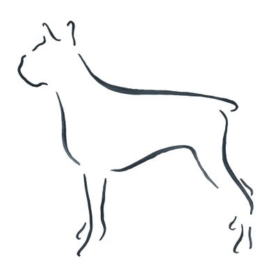 Boxer by Lesley Bishop acrylic art print