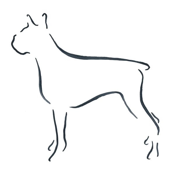 Lesley Bishop: Boxer by Lesley Bishop