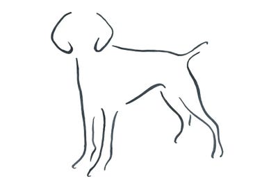 German Short Haired Pointer Facing Forward by Lesley Bishop framed wall art