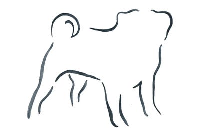 Pug by Lesley Bishop framed wall art