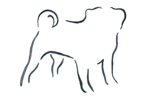 Lesley Bishop: Pug by Lesley Bishop