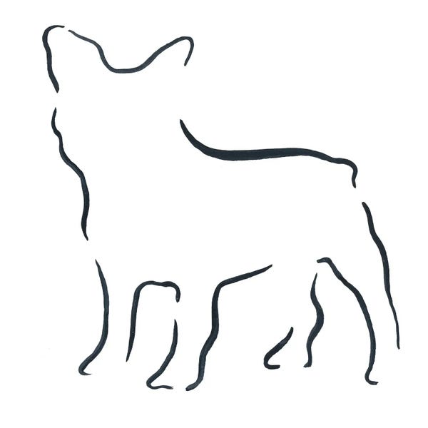 Lesley Bishop: French Bulldog by Lesley Bishop