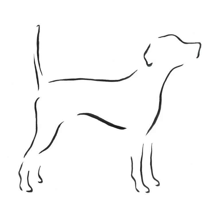 English Pointer With Tail Up