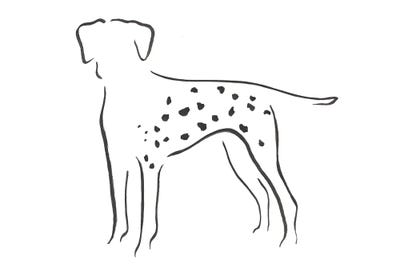 Dalmatian by Lesley Bishop metal wall art