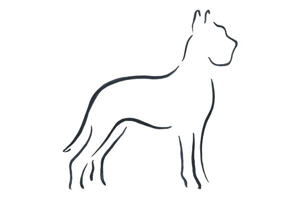 Lesley Bishop: Great Dane by Lesley Bishop