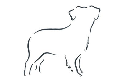 Miniature Australian Shepherd by Lesley Bishop framed wall art