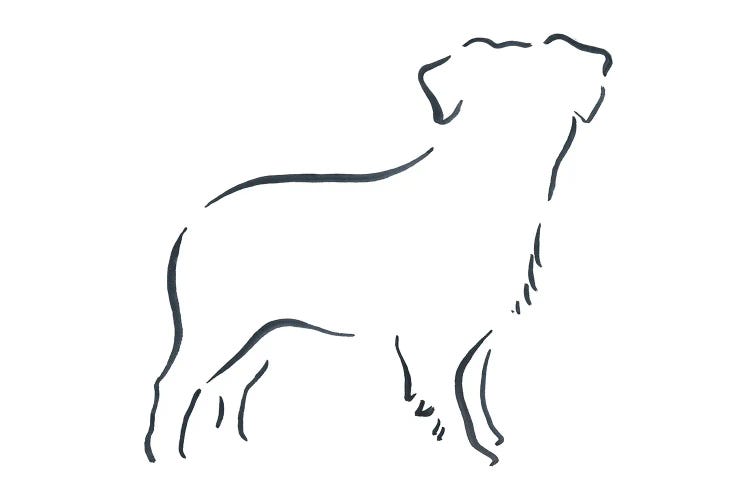 Miniature Australian Shepherd by Lesley Bishop wall art