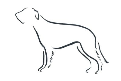 Irish Wolfhound by Lesley Bishop art print