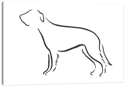 Irish Wolfhound Canvas Art Print - Lesley Bishop