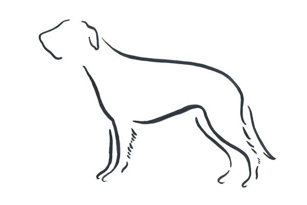 Lesley Bishop: Irish Wolfhound by Lesley Bishop