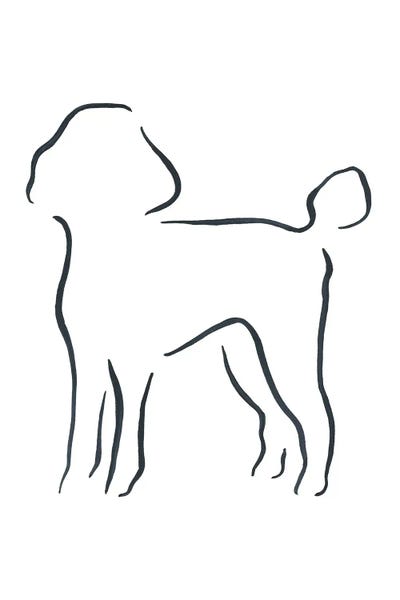 Lesley Bishop: Poodle by Lesley Bishop