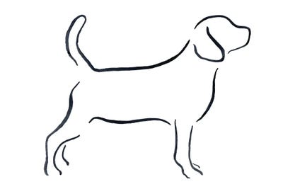 Beagle by Lesley Bishop metal wall art