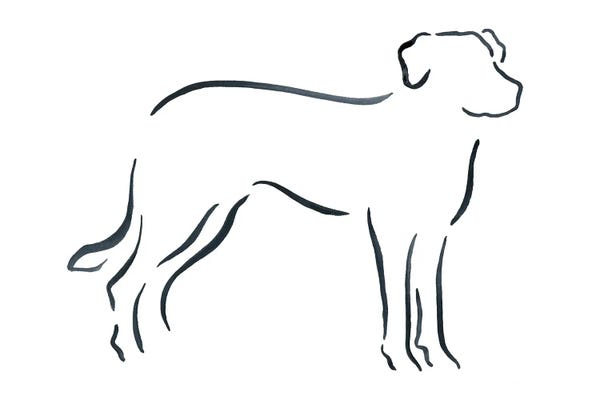 Lesley Bishop: Beauceron II by Lesley Bishop