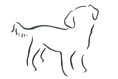 Short Haired Shih Tzu by Lesley Bishop art print