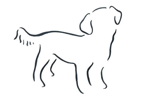 Lesley Bishop: Short Haired Shih Tzu by Lesley Bishop