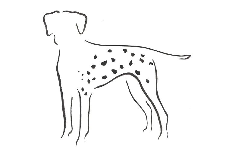 Dalmatian