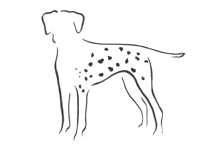 Dalmatian