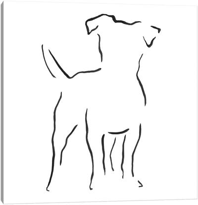 Jack Russell Terrier Canvas Art Print - Lesley Bishop