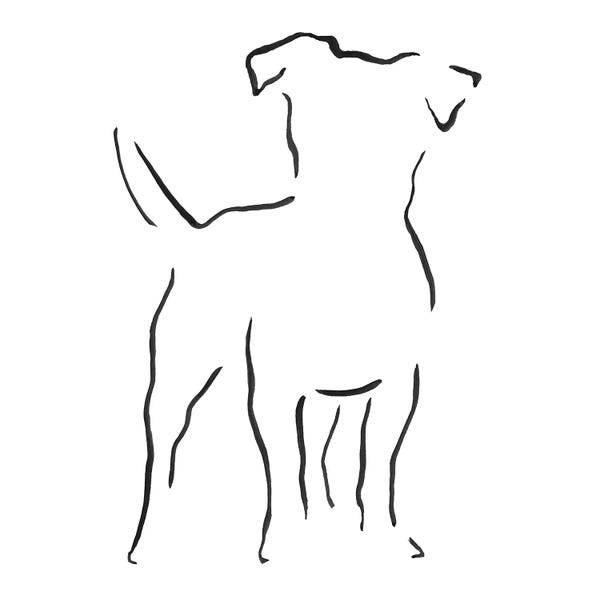 Lesley Bishop: Jack Russell Terrier by Lesley Bishop