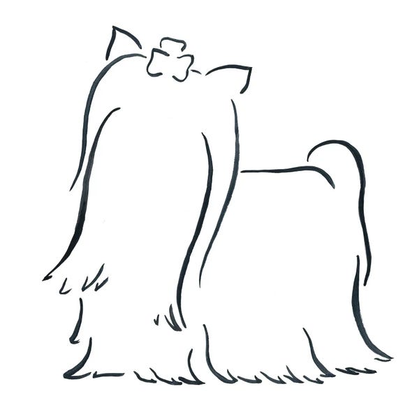 Lesley Bishop: Long Haired Yorkshire Terrier by Lesley Bishop