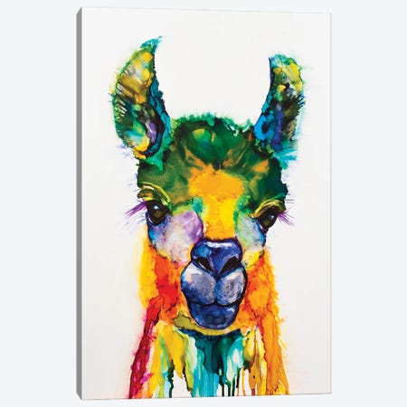 Llama-rama Canvas Print #LSF38} by Art by Leslie Franklin Canvas Artwork