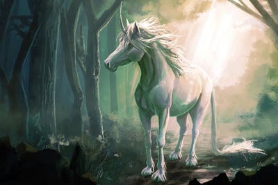 Unicorn by Louise Goalby framed canvas print