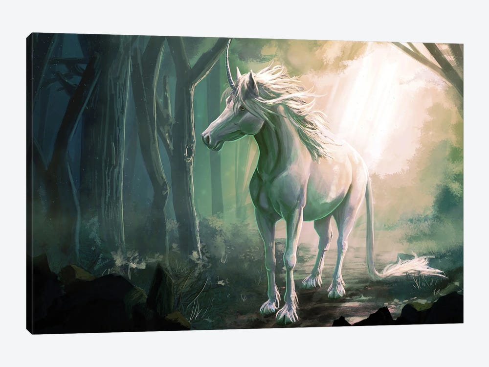 Unicorn by Louise Goalby 1-piece Canvas Art Print