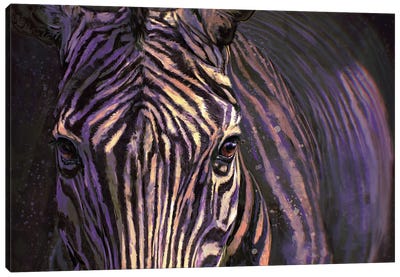 Zebra Canvas Art Print - Louise Goalby