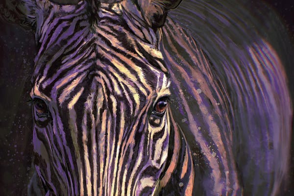 Zebras: Zebra by Louise Goalby