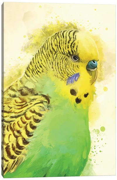 Green Budgie Portrait Canvas Art Print - Parakeet Art