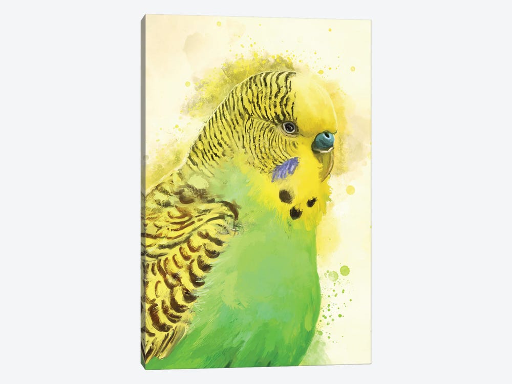 Green Budgie Portrait by Louise Goalby 1-piece Canvas Art