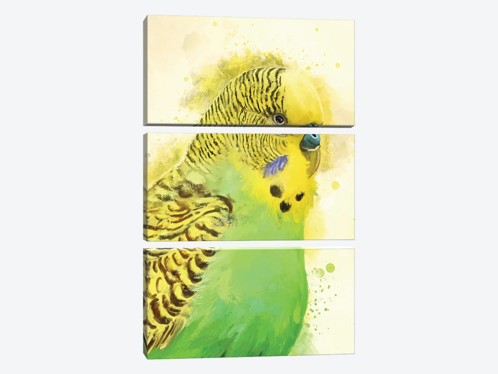 Green Budgie Portrait by Louise Goalby 3-piece Canvas Artwork