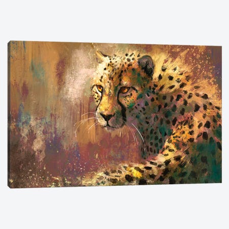 Amber Cheetah Canvas Print #LSG14} by Louise Goalby Canvas Art