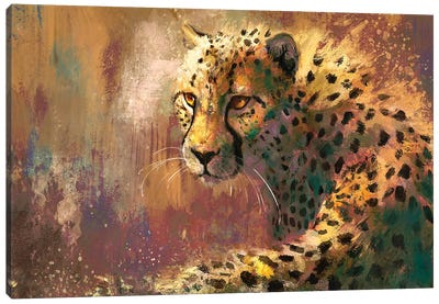 Amber Cheetah Canvas Art Print - Louise Goalby