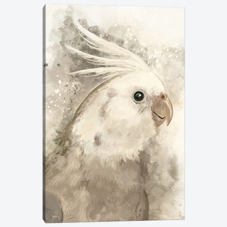 White Faced Cockatiel Canvas Print #LSG17} by Louise Goalby Canvas Wall Art