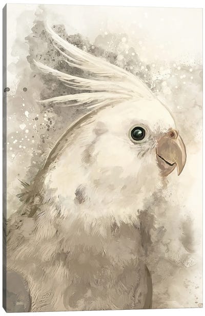 White Faced Cockatiel Canvas Art Print - Cockatoo Art